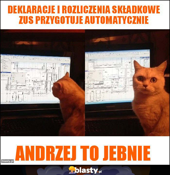 deklaracje i rozliczenia składkowe ZUS przygotuje automatycznie deklaracje i rozliczenia składkowe ZUS przygotuje automatycznie