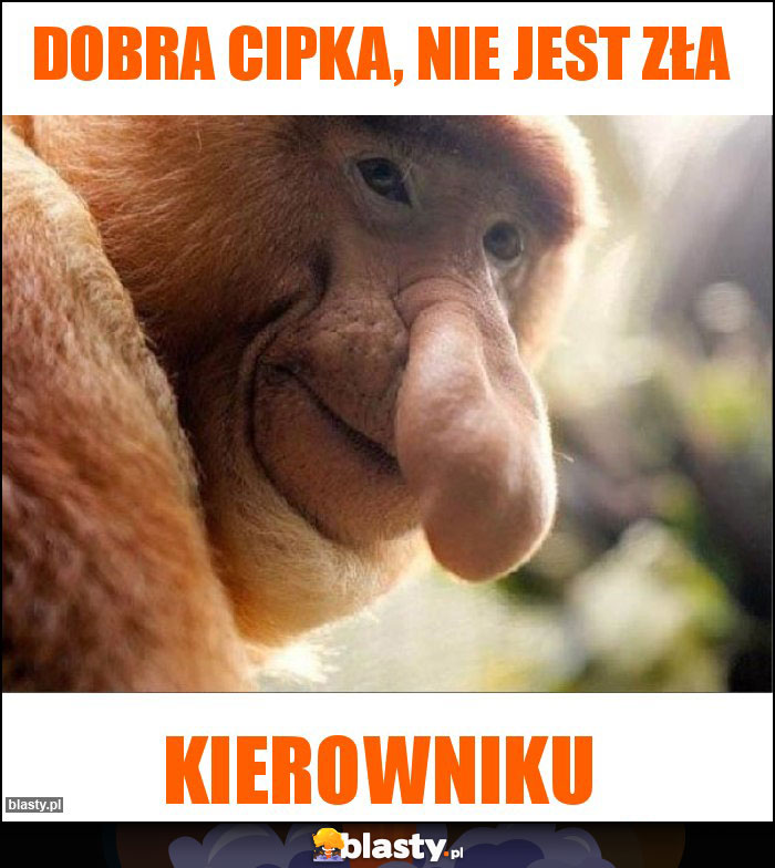 Dobra cipka, nie jest zła Dobra cipka, nie jest zła