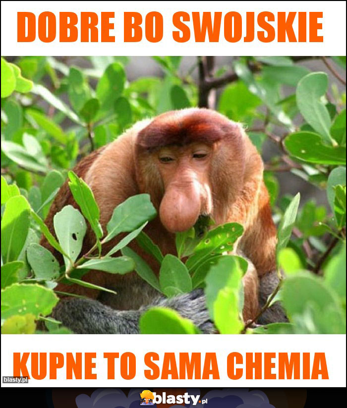 Dobre bo swojskie Dobre bo swojskie
