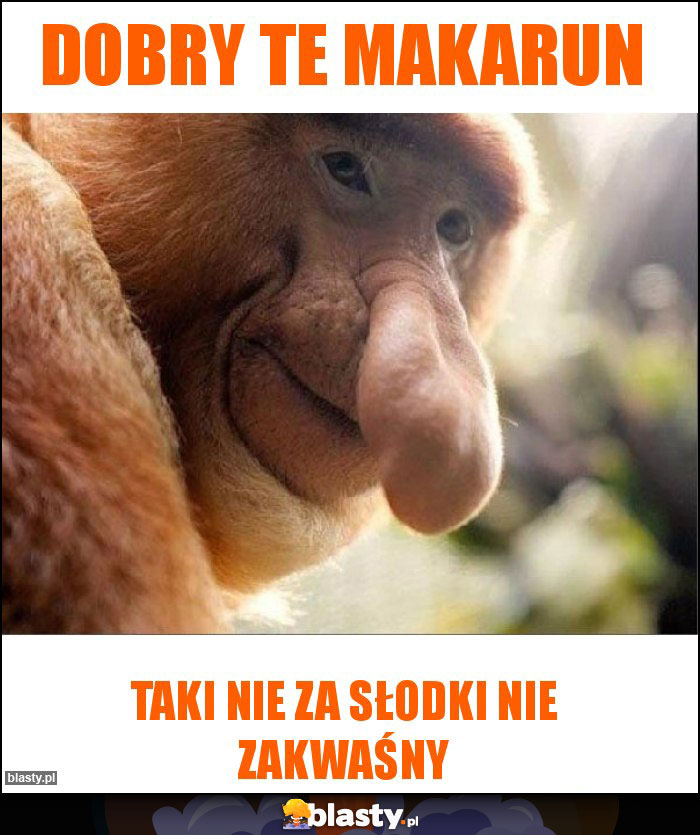 dobry te makarun dobry te makarun