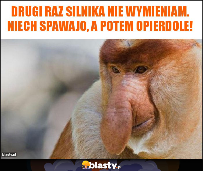 Drugi raz silnika nie wymieniam. Niech spawajo, a potem opierdole! Drugi raz silnika nie wymieniam. Niech spawajo, a potem opierdole!