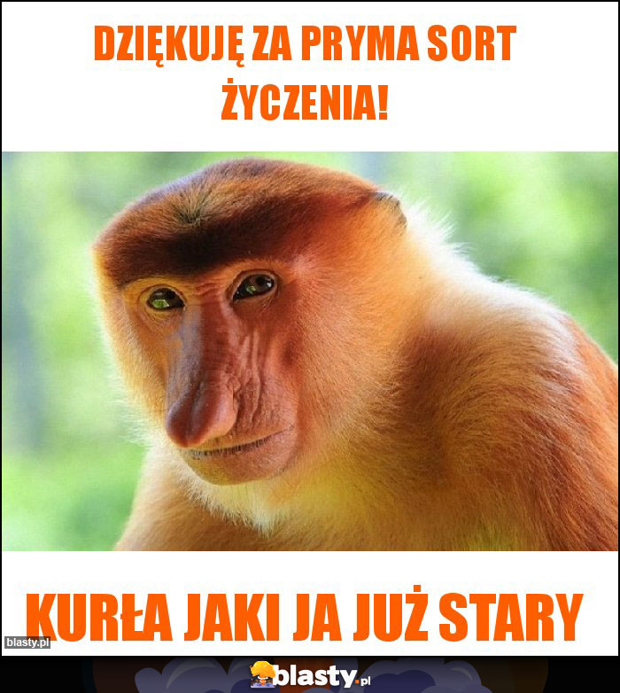 DZIĘKUJĘ ZA PRYMA SORT ŻYCZENIA! DZIĘKUJĘ ZA PRYMA SORT ŻYCZENIA!
