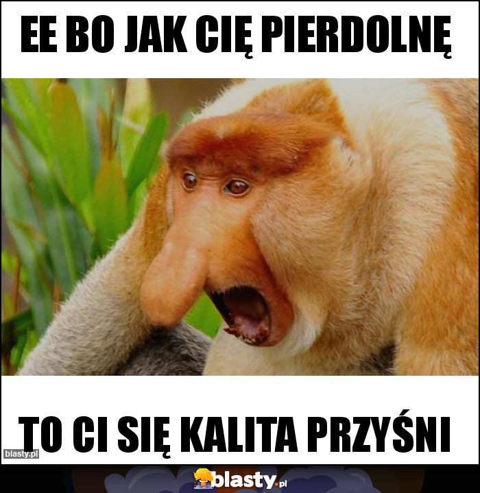 Ee bo jak cię pierdolnę Ee bo jak cię pierdolnę