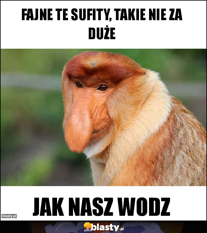 Fajne te sufity, takie nie za duże Fajne te sufity, takie nie za duże