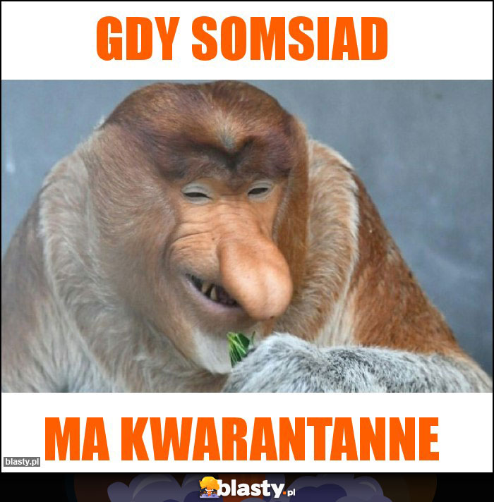 GDy somsiad GDy somsiad
