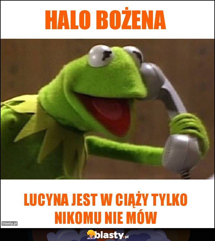 Halo Bożena Halo Bożena