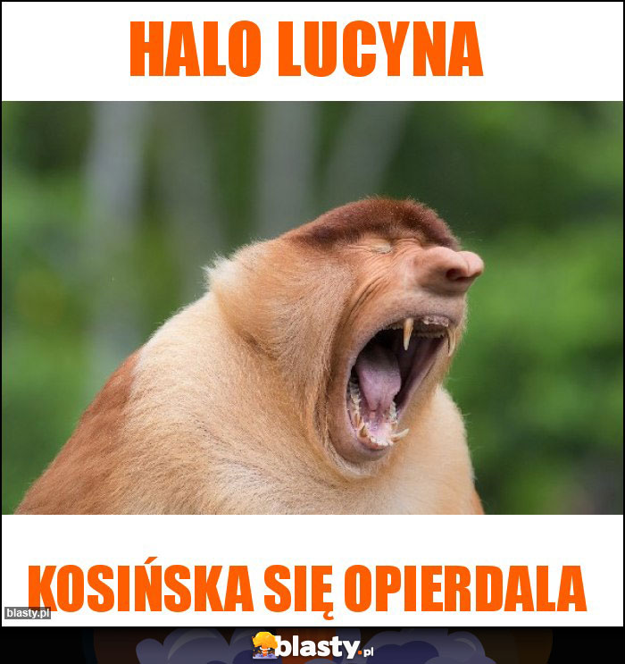 Halo Lucyna Halo Lucyna