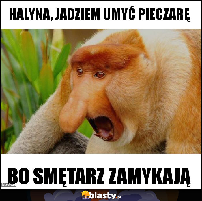 Halyna, jadziem umyć pieczarę