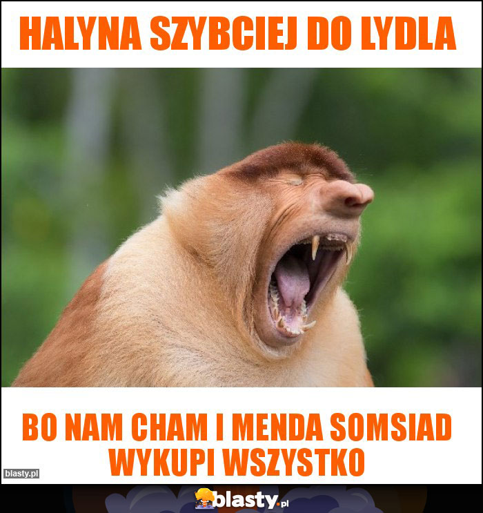 Halyna szybciej do lydla Halyna szybciej do lydla