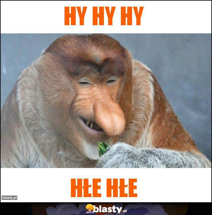Hy Hy Hy