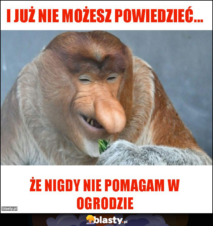 I już nie możesz powiedzieć... I już nie możesz powiedzieć...