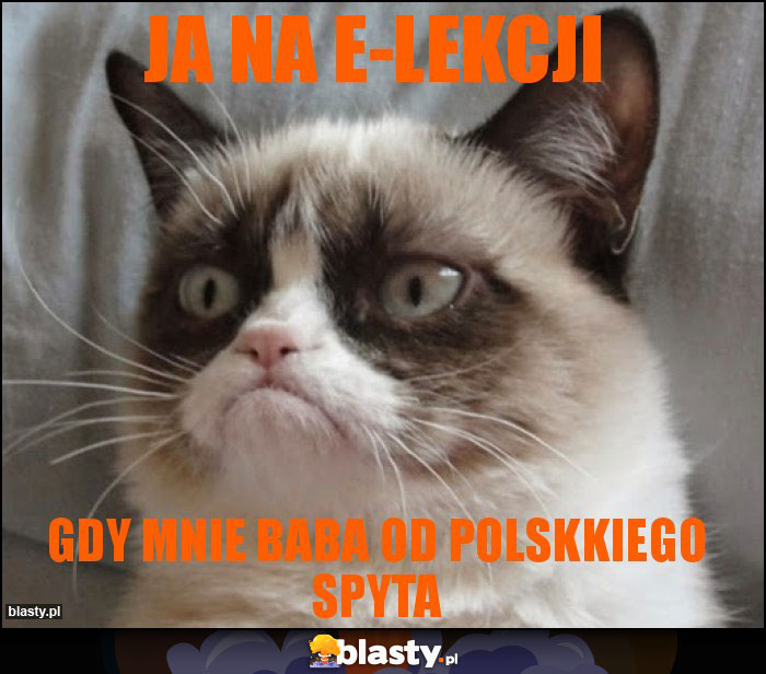 ja na e-lekcji ja na e-lekcji