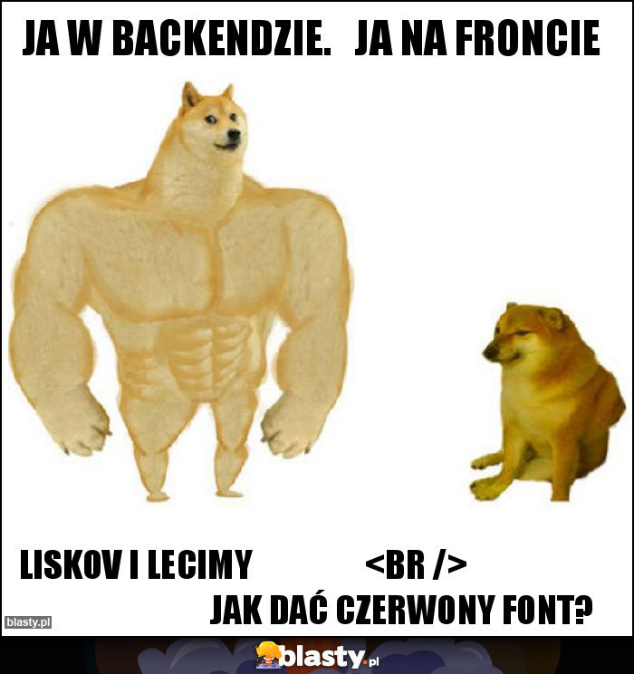 Ja w backendzie. Ja na froncie Ja w backendzie. Ja na froncie