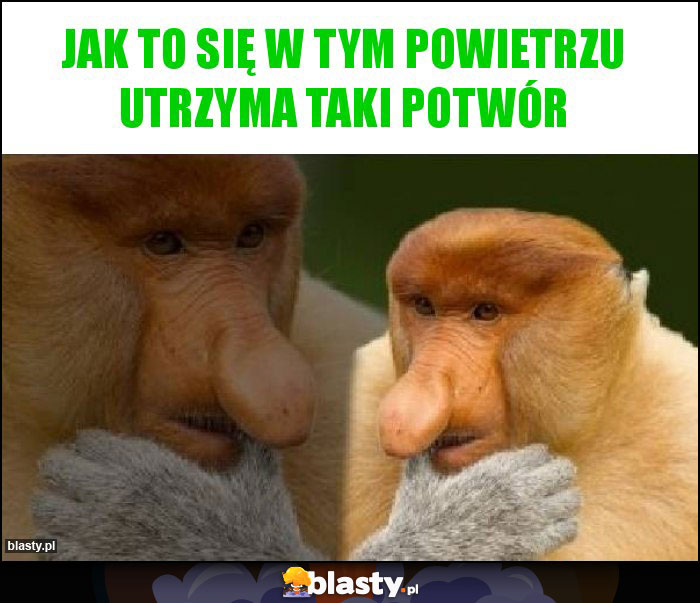 Jak to się w tym powietrzu utrzyma taki potwór Jak to się w tym powietrzu utrzyma taki potwór