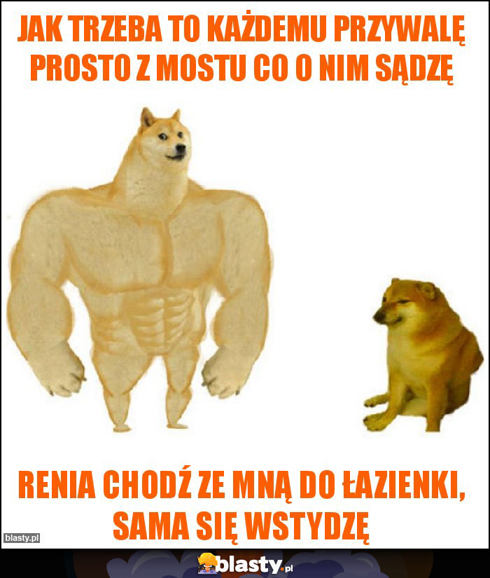 Jak trzeba to każdemu przywalę prosto z mostu co o nim sądzę Jak trzeba to każdemu przywalę prosto z mostu co o nim sądzę