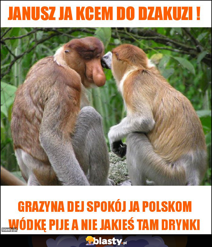 Janusz ja kcem do dzakuzi ! Janusz ja kcem do dzakuzi !
