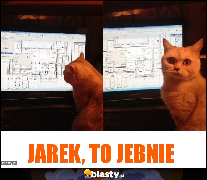 Jarek, to jebnie Jarek, to jebnie