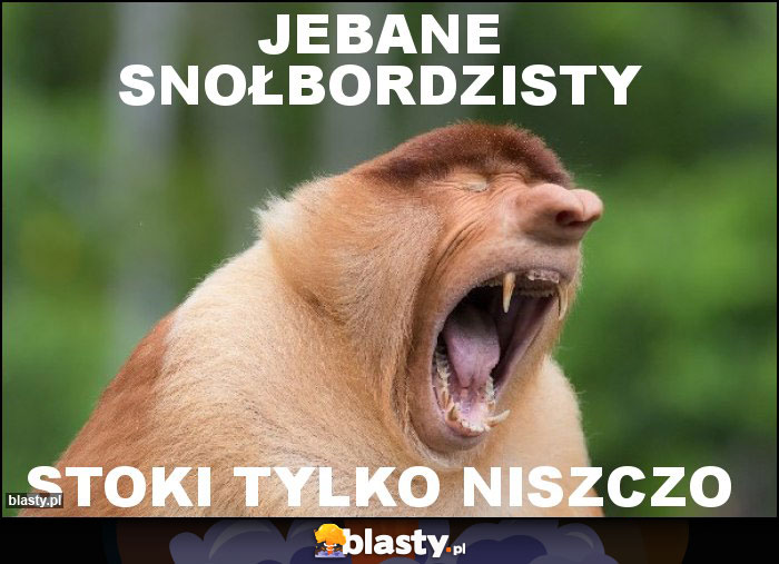 jebane snołbordzisty jebane snołbordzisty