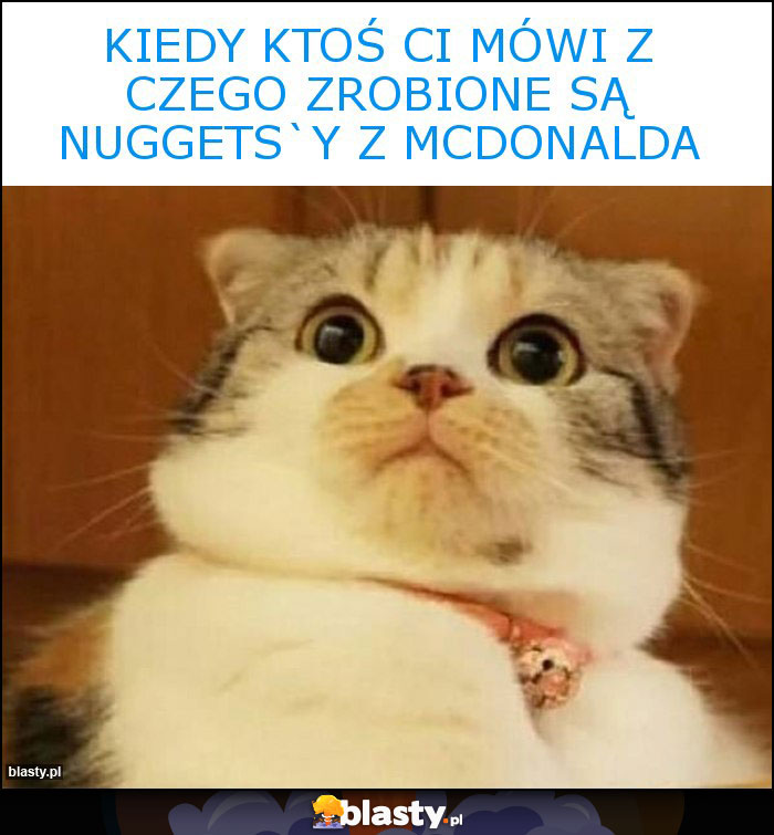 kiedy ktoś ci mówi z czego zrobione są nuggets`y z McDonalda kiedy ktoś ci mówi z czego zrobione są nuggets`y z McDonalda