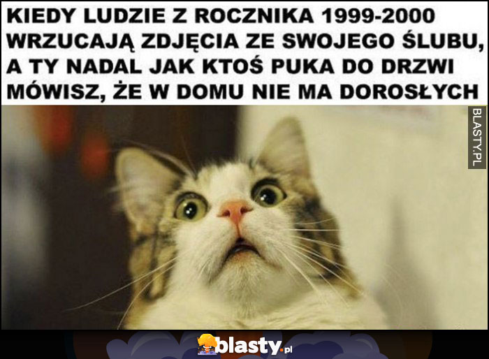 Kiedy ludzie z rocznika 1999-2000 wrzycają zdjęcia ze swojego ślubu a ty nadal jak ktoś puka do drzwi mówisz, że nie ma w domu dorosłych zdziwiony kot