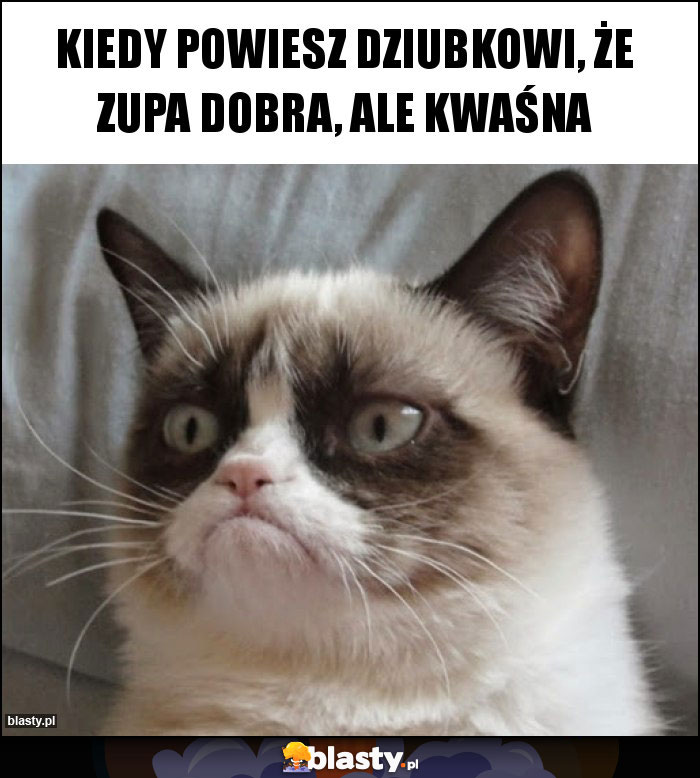 KIEDY POWIESZ DZIUBKOWI, ŻE ZUPA DOBRA, ALE KWAŚNA