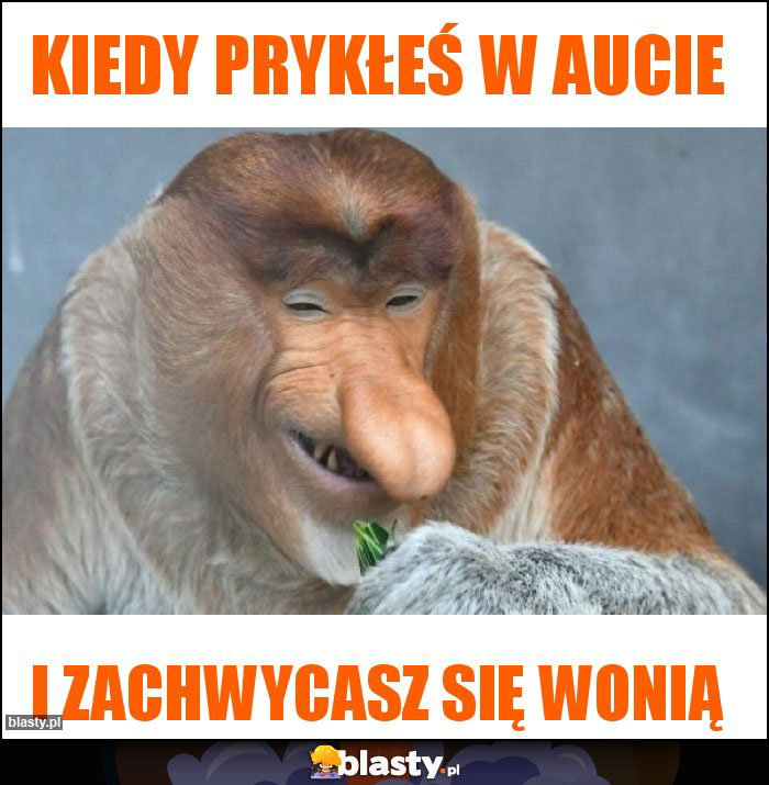 Kiedy prykłeś w aucie Kiedy prykłeś w aucie