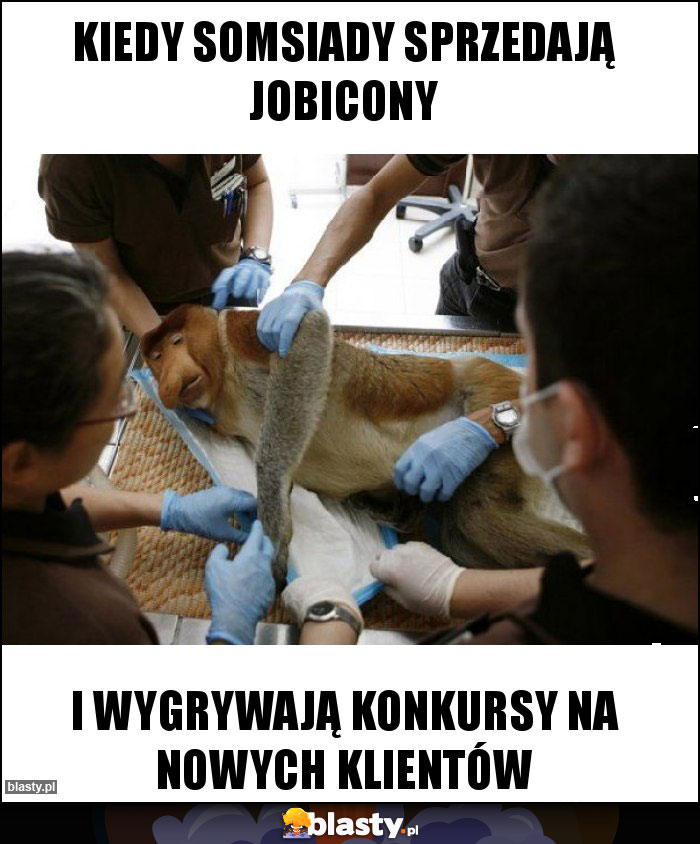kiedy somsiady sprzedają Jobicony kiedy somsiady sprzedają Jobicony