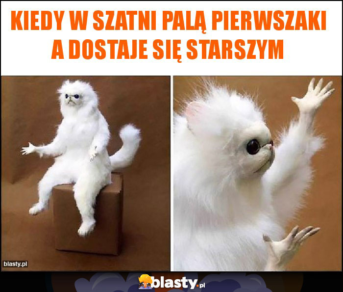 Kiedy w szatni palą pierwszaki a dostaje się starszym Kiedy w szatni palą pierwszaki a dostaje się starszym