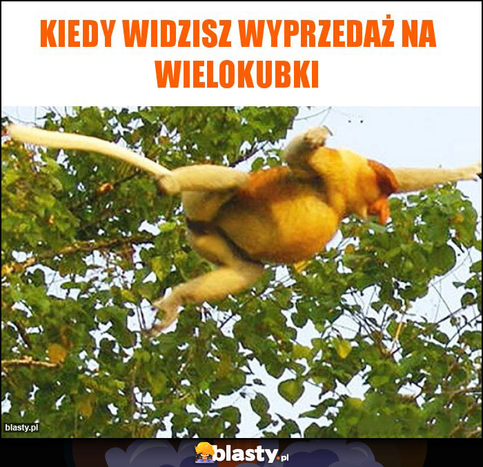 Kiedy widzisz wyprzedaż na wielokubki Kiedy widzisz wyprzedaż na wielokubki
