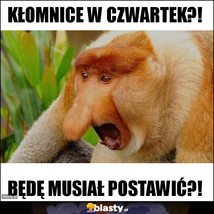 kłomnice w czwartek?! kłomnice w czwartek?!
