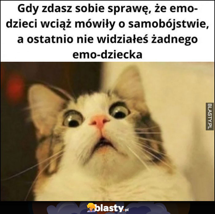 Kot gdy zdasz sobie sprawę, że emo dzieci wciąż mówiły o samobójstwie a ostatnio nie widziałeś żadnego emo-dziecka