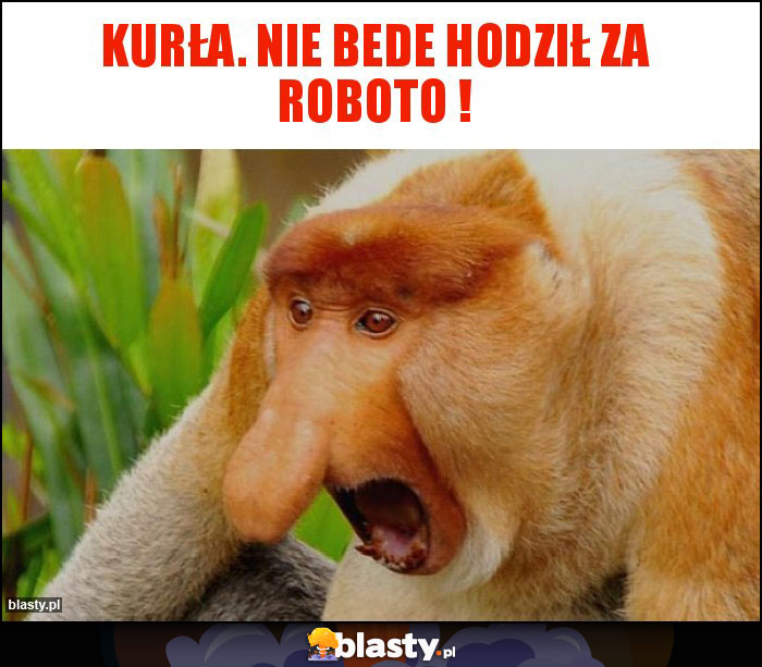 Kurła. Nie bede hodził za roboto ! Kurła. Nie bede hodził za roboto !