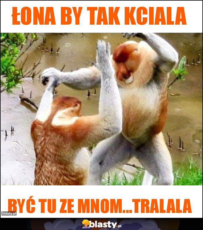 Łona by tak kciala Łona by tak kciala