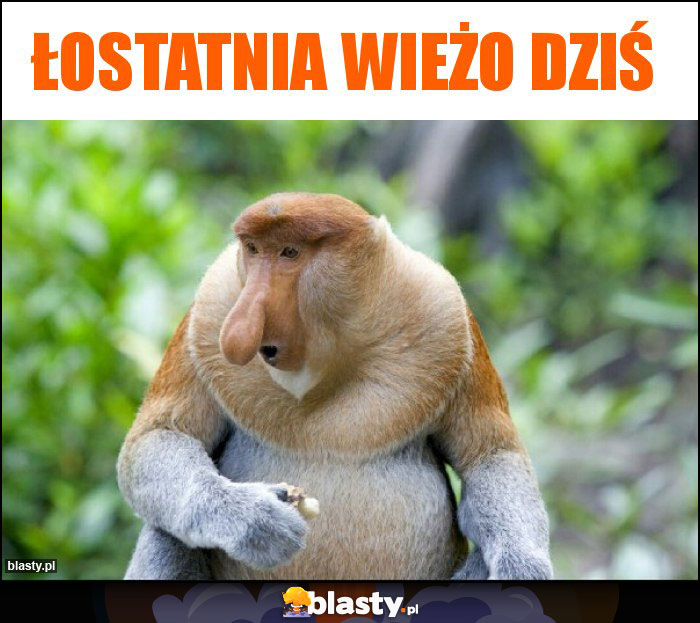 Łostatnia wieżo dziś