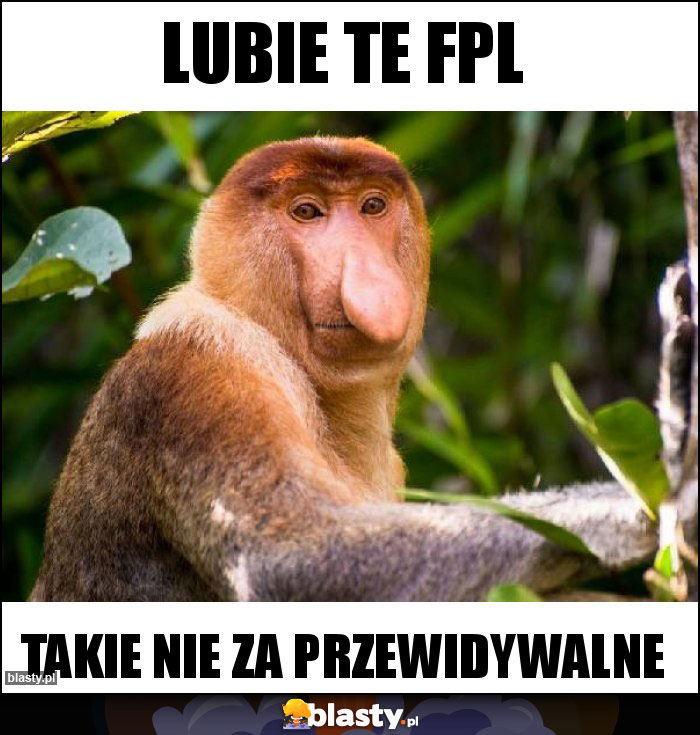 Lubie te FPL Lubie te FPL