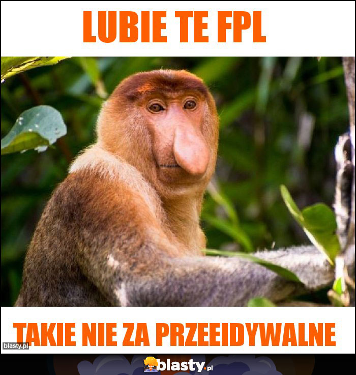 lubie te fpl lubie te fpl