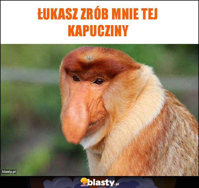 Łukasz zrób mnie tej kapucziny Łukasz zrób mnie tej kapucziny