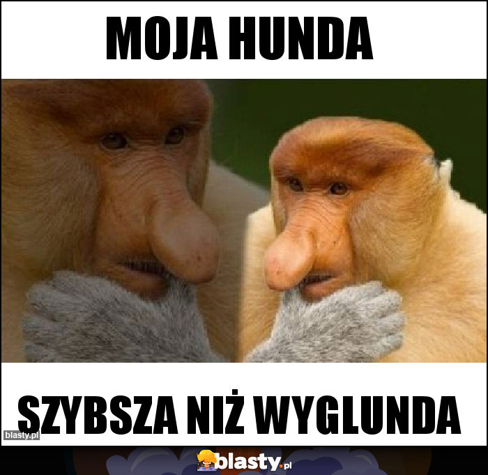 Moja Hunda Moja Hunda