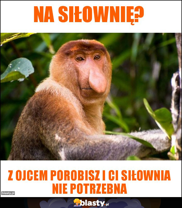 Na siłownię? Na siłownię?