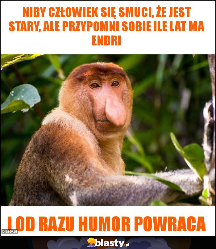 Niby człowiek się smuci, że jest stary, ale przypomni sobie ile lat ma ENDRI Niby człowiek się smuci, że jest stary, ale przypomni sobie ile lat ma ENDRI