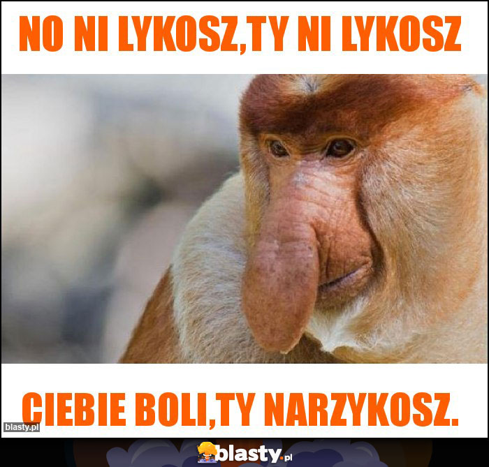 No ni lykosz,Ty ni lykosz No ni lykosz,Ty ni lykosz