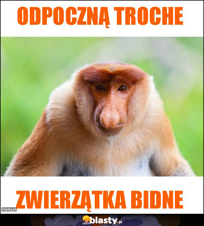 Odpoczną troche Odpoczną troche