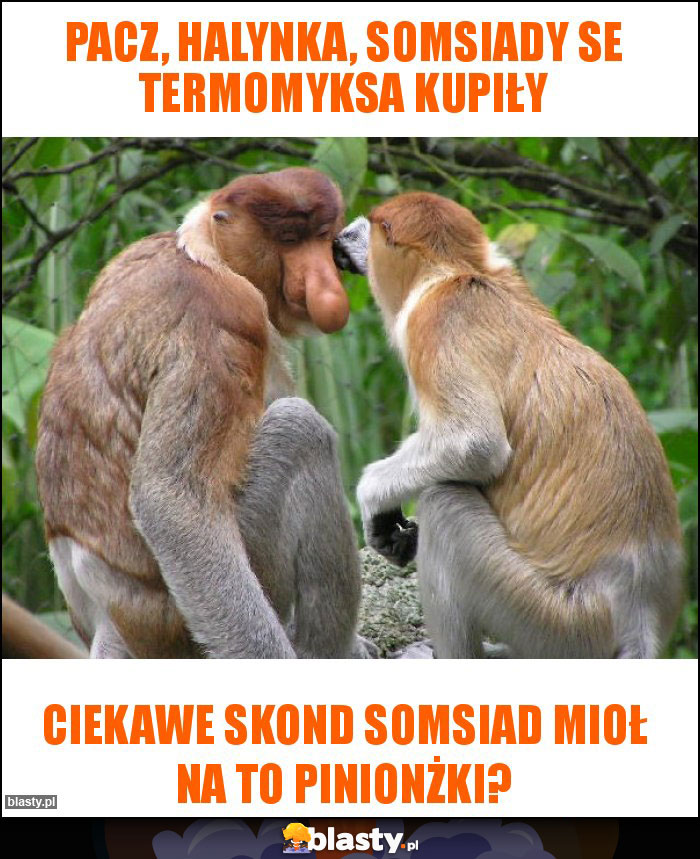 Pacz, HALYNKA, SOMSIADY SE TERMOMYKSA KUPIŁY Pacz, HALYNKA, SOMSIADY SE TERMOMYKSA KUPIŁY