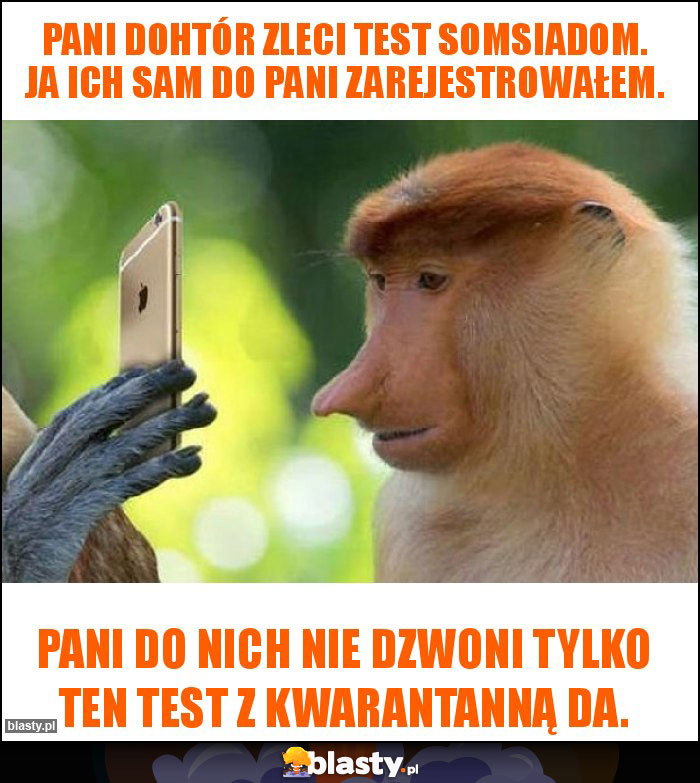 Pani dohtór zleci test somsiadom. Ja ich sam do pani zarejestrowałem.