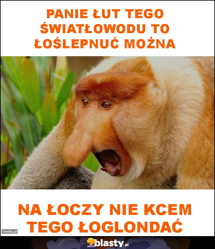 Panie łut tego światłowodu to łoślepnuć można Panie łut tego światłowodu to łoślepnuć można