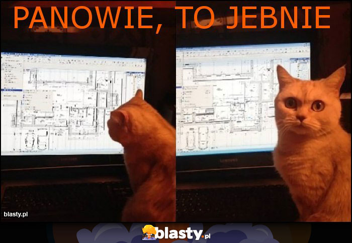 PANOWIE, TO JEBNIE PANOWIE, TO JEBNIE