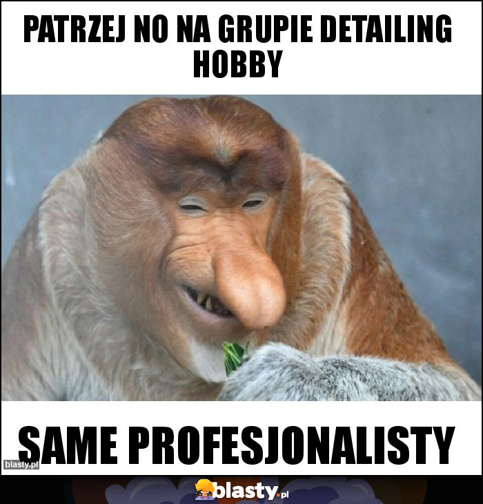 Patrzej no na grupie detailing hobby Patrzej no na grupie detailing hobby