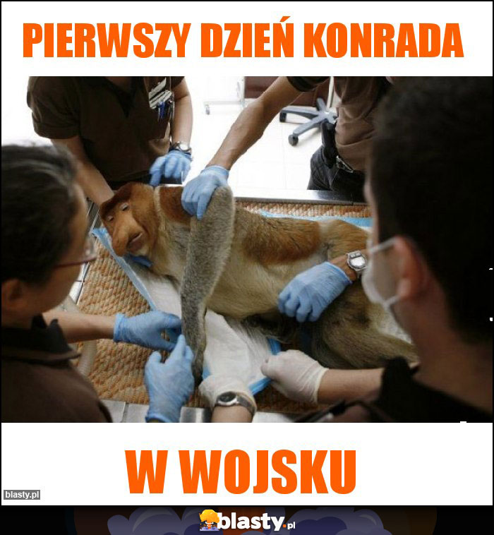 Pierwszy dzień konrada