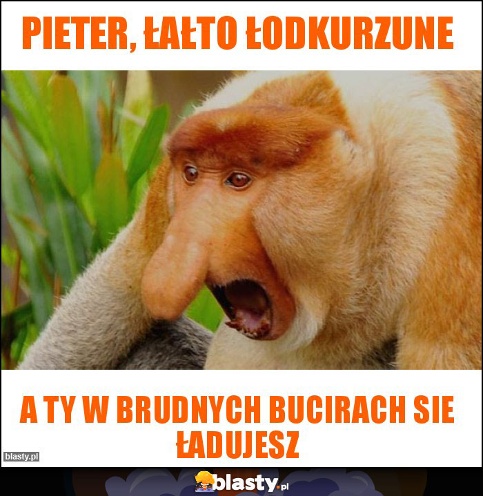 Pieter, łałto łodkurzune Pieter, łałto łodkurzune
