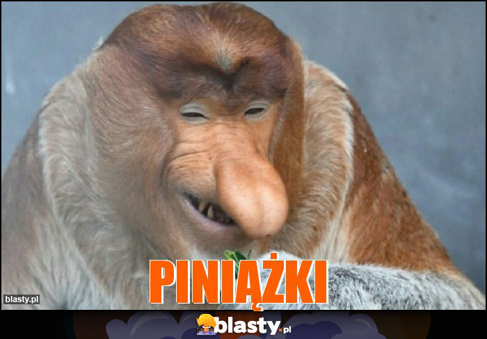 PINIĄŻKI